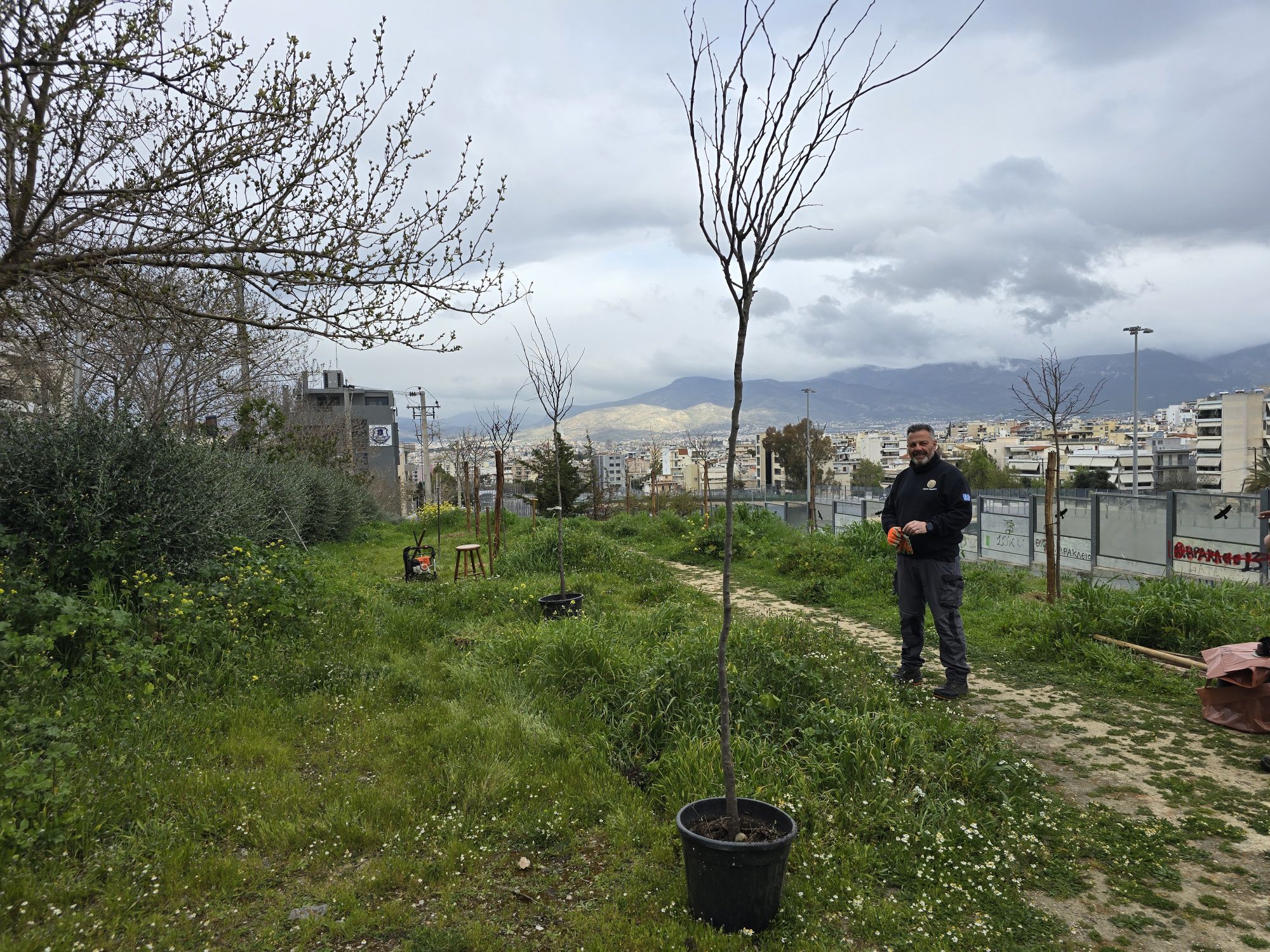 Δεντροφύτευση Ορφέως 2026-03 (2)