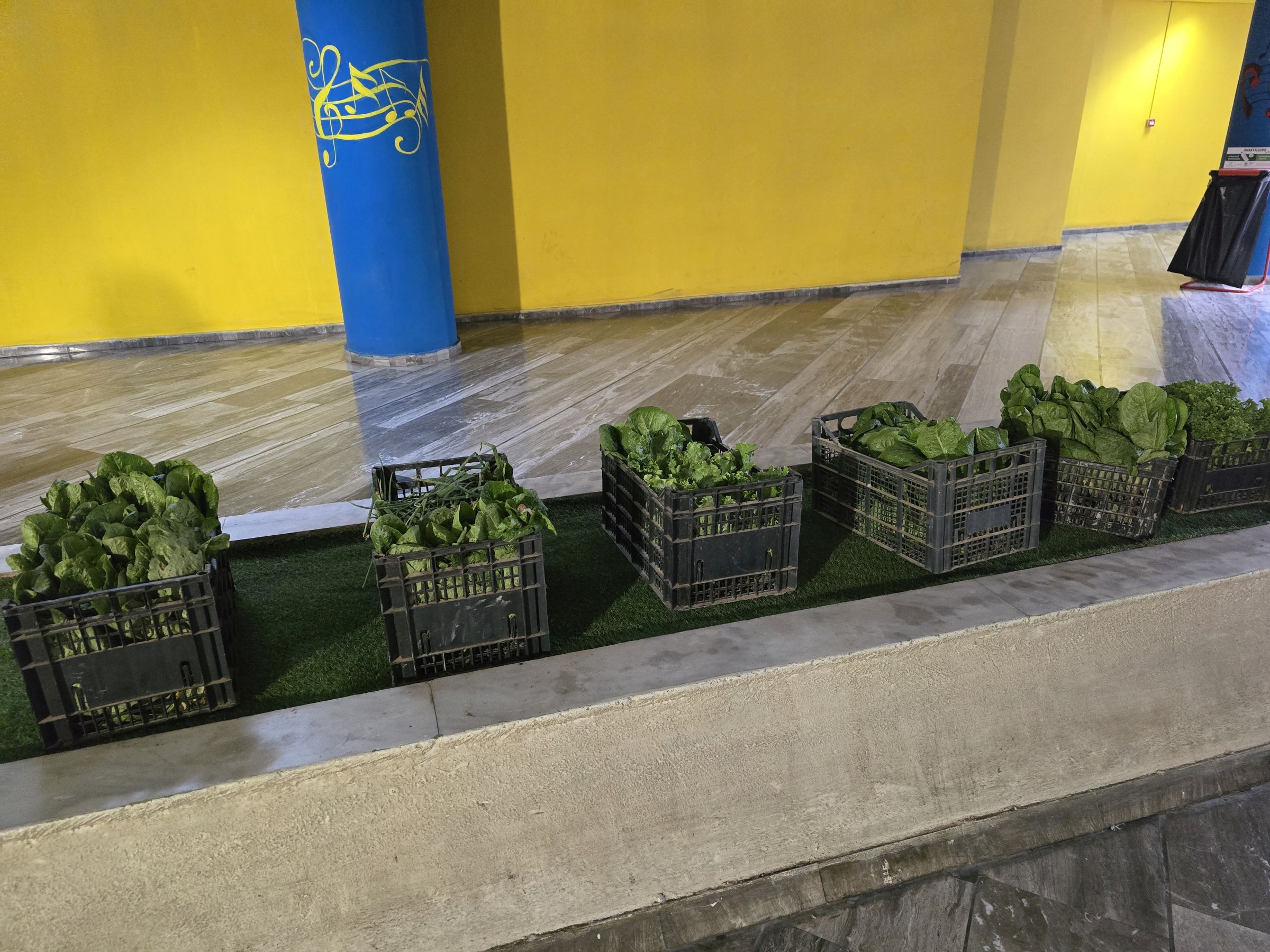 Προσφορά ΕΕΕΕΚ λαχανόκηπος 2026-02 (1