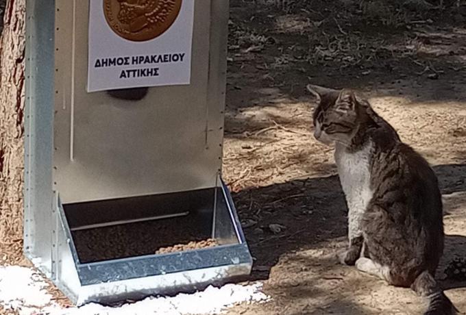 Φαγητό και νερό σε 24 σημεία της πόλης: ο Δήμος Ηρακλείου Αττικής τοποθέτησε σχετική υποδομή