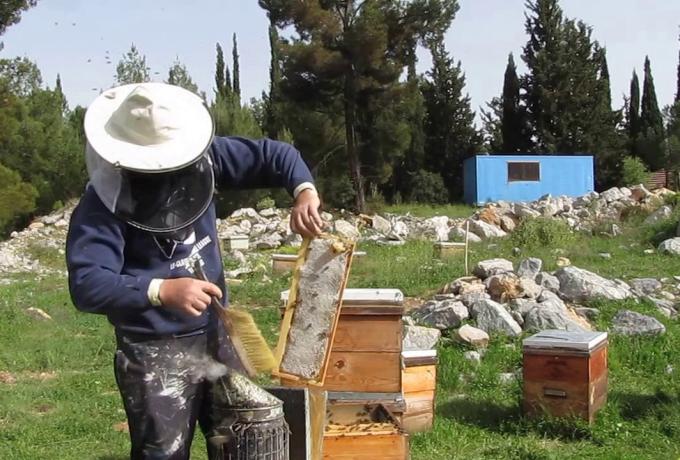 Ανακοίνωση για μελισσοκόμους